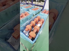 IP66 등급 자율 잠금 듀얼 축 슬레드 드라이브